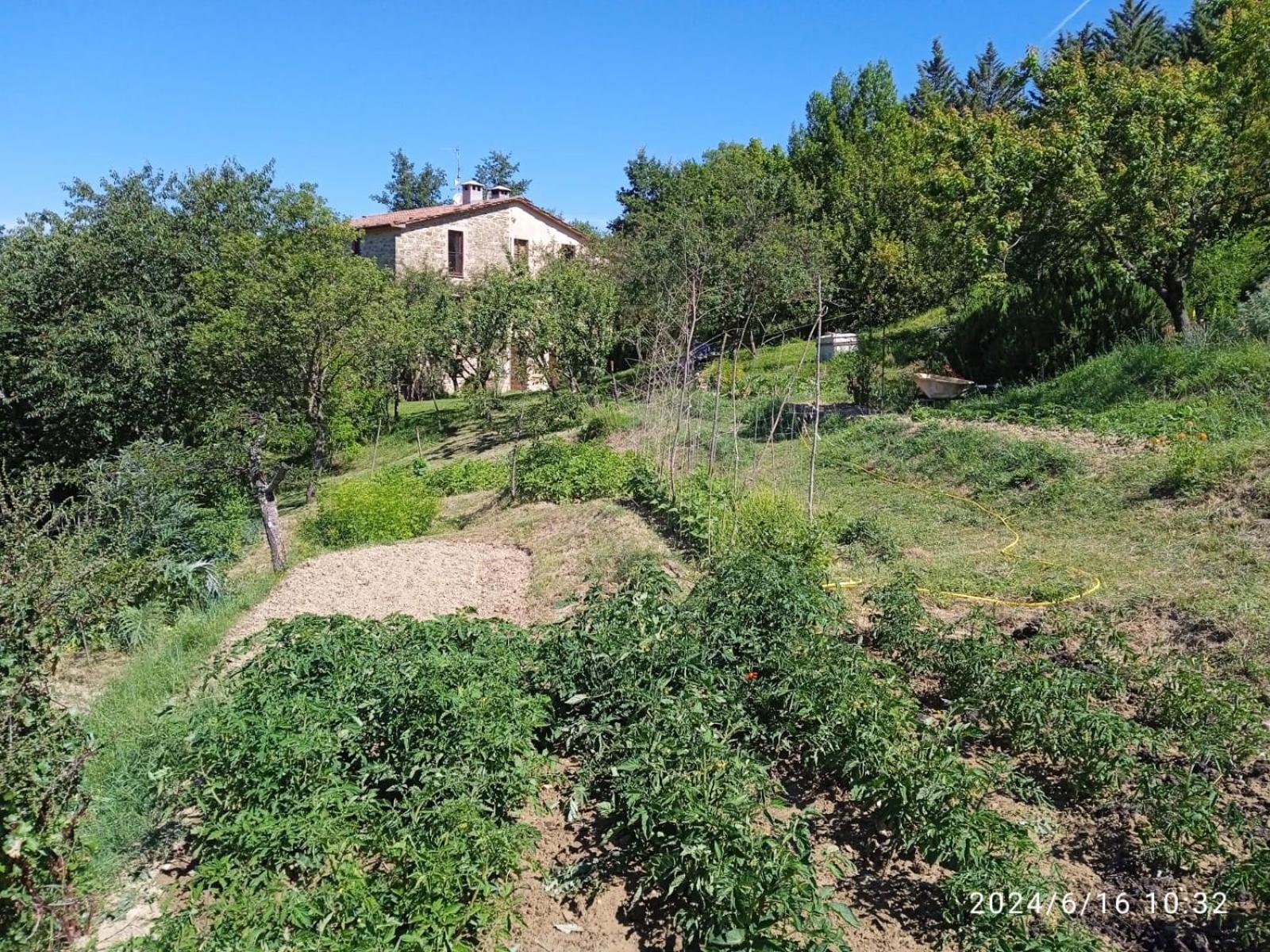 La Fonte B&B เปียตราลุงกา ภายนอก รูปภาพ