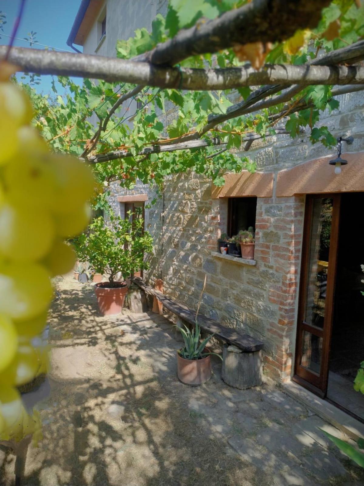 La Fonte B&B เปียตราลุงกา ภายนอก รูปภาพ