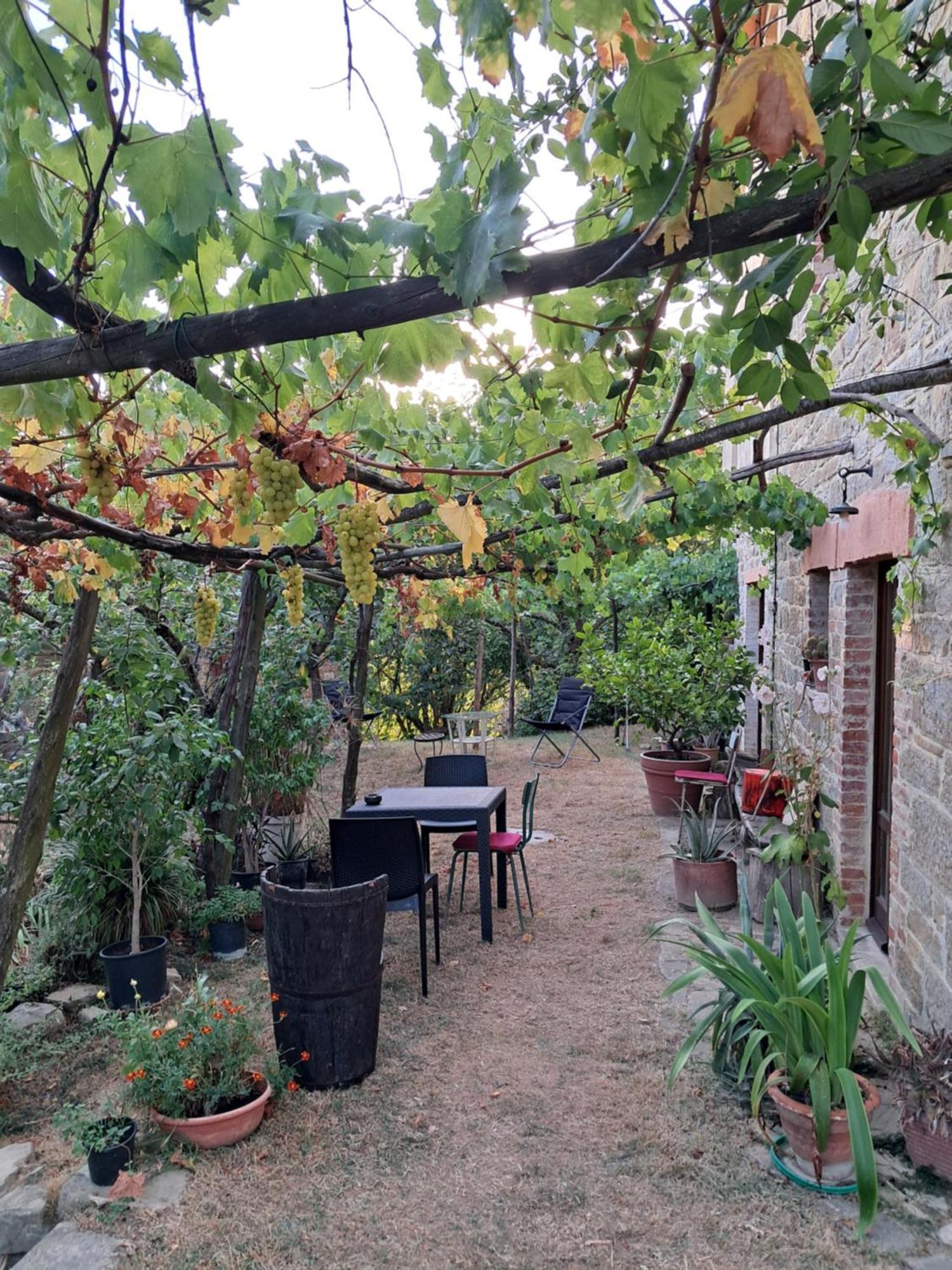 La Fonte B&B เปียตราลุงกา ภายนอก รูปภาพ
