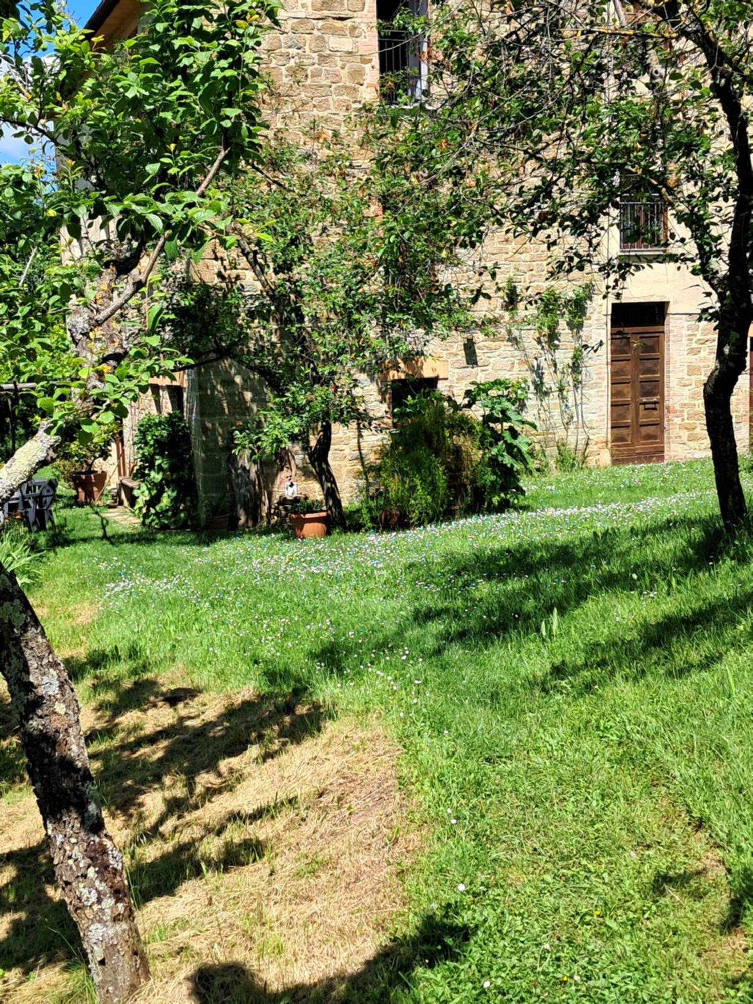 La Fonte B&B เปียตราลุงกา ภายนอก รูปภาพ